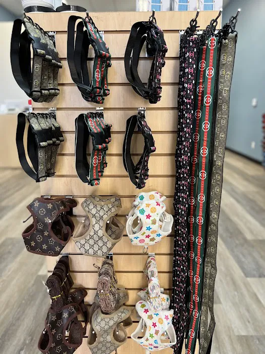 Top Dog Pet Store & Grooming Picture 5