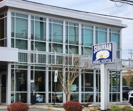 Suburban Animal Hospital