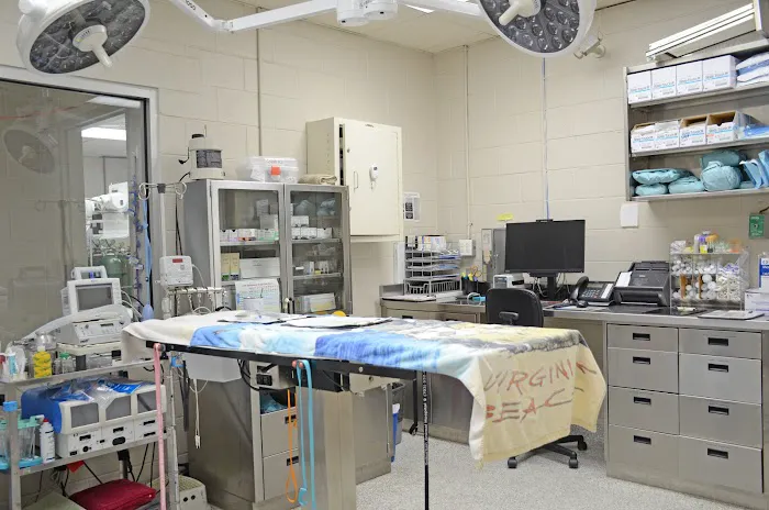 Suburban Animal Hospital Picture 2