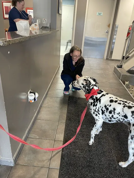 Suburban Animal Hospital Picture 4