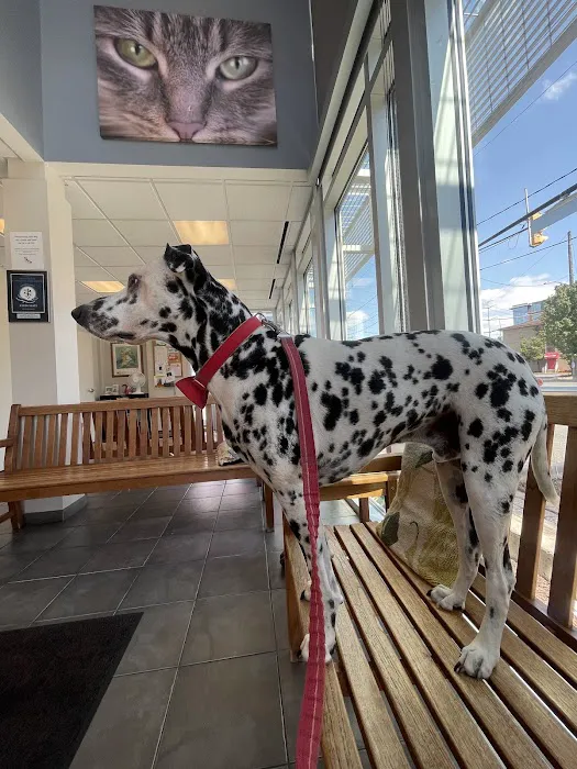 Suburban Animal Hospital Picture 8