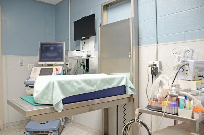Suburban Animal Hospital Picture 7