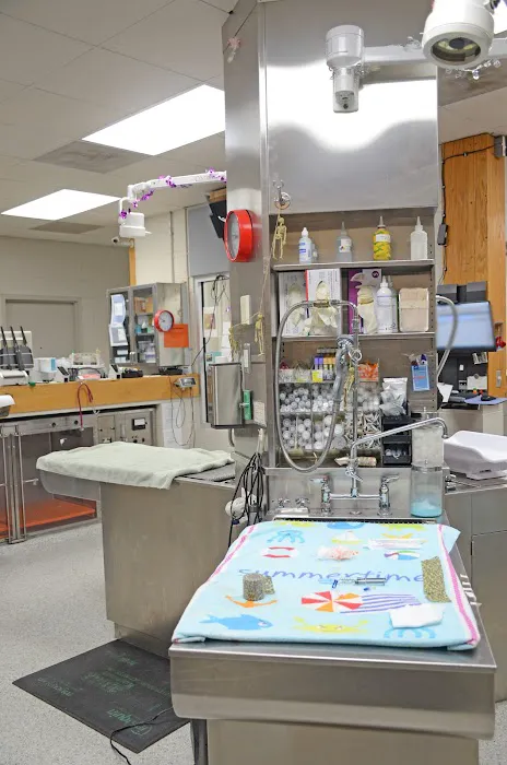 Suburban Animal Hospital Picture 6