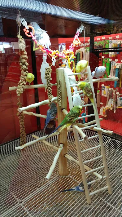 Petco Picture 3