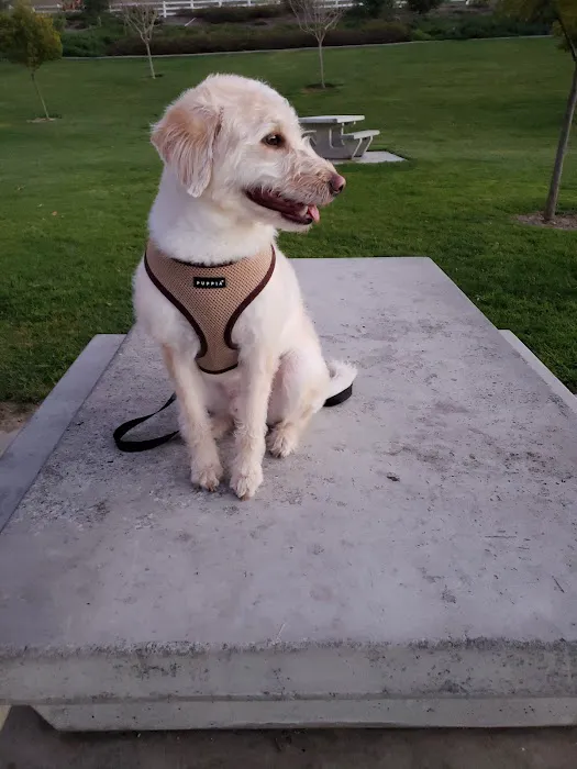 Petco Picture 5