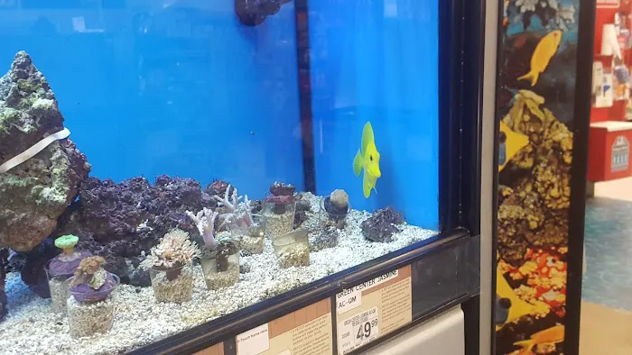 Petco Picture 7