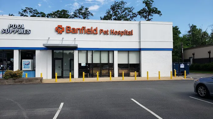 Banfield Pet Hospital Picture 1