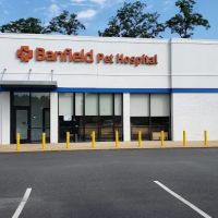 Banfield Pet Hospital ico