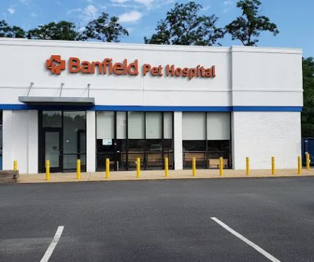 Banfield Pet Hospital