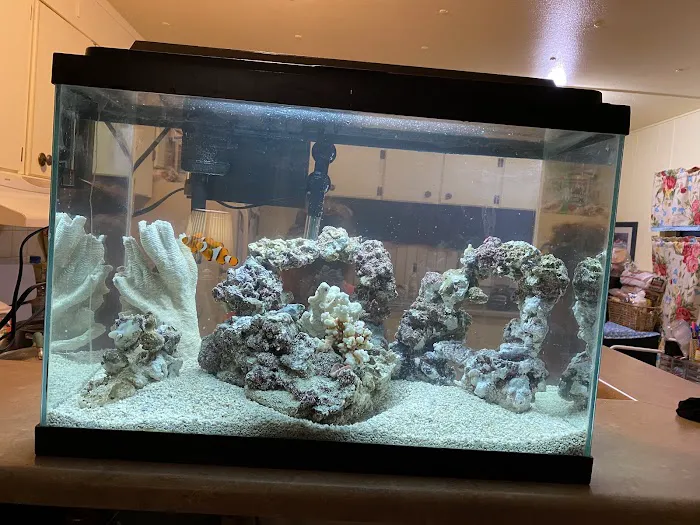 Reef Runner's Aquarium Service Picture 9