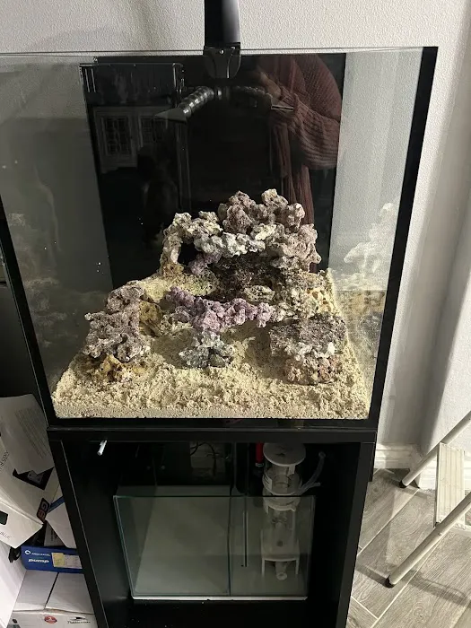 Reef Runner's Aquarium Service Picture 4
