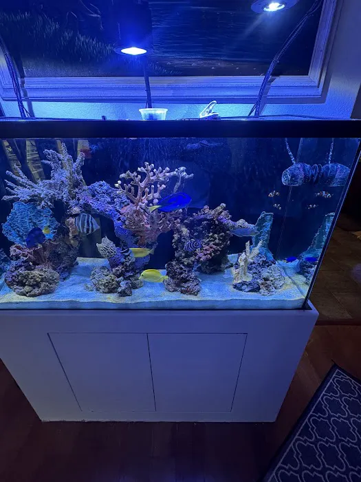 Reef Runner's Aquarium Service Picture 2