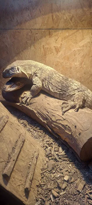 Westisbest Reptiles LLC Picture 6