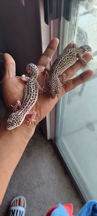 Westisbest Reptiles LLC Picture 4