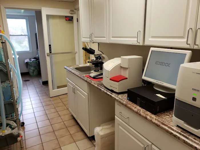 Middleburg Animal Hospital Picture 1