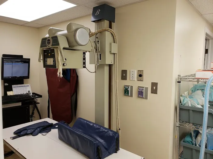 Middleburg Animal Hospital Picture 10