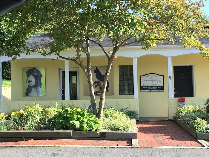 Middleburg Animal Hospital Picture 8