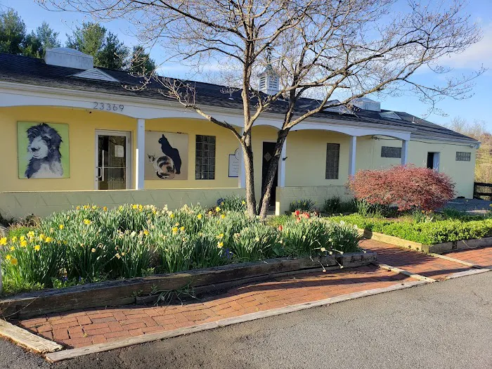 Middleburg Animal Hospital Picture 4