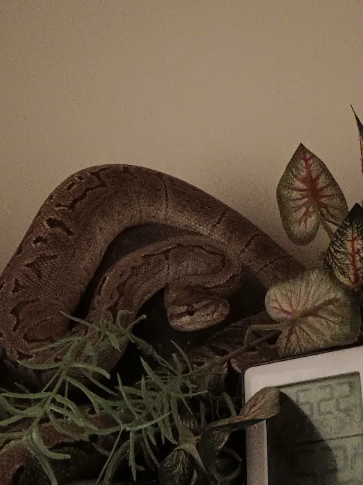 Hutches Clutches Picture 5