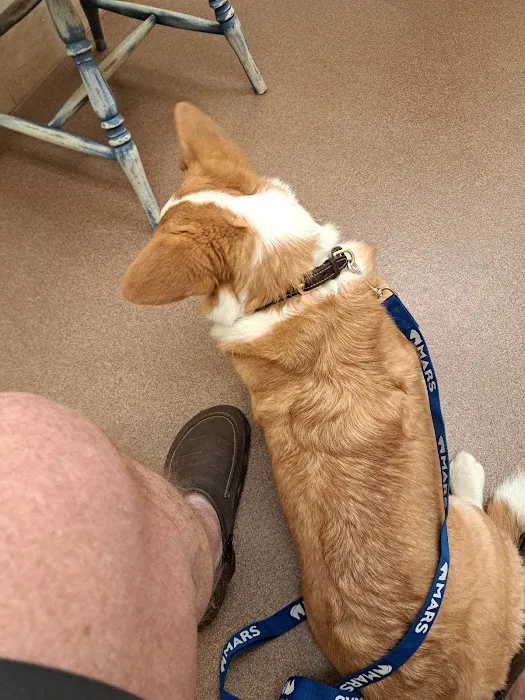 Marshall Veterinary Clinic Picture 1