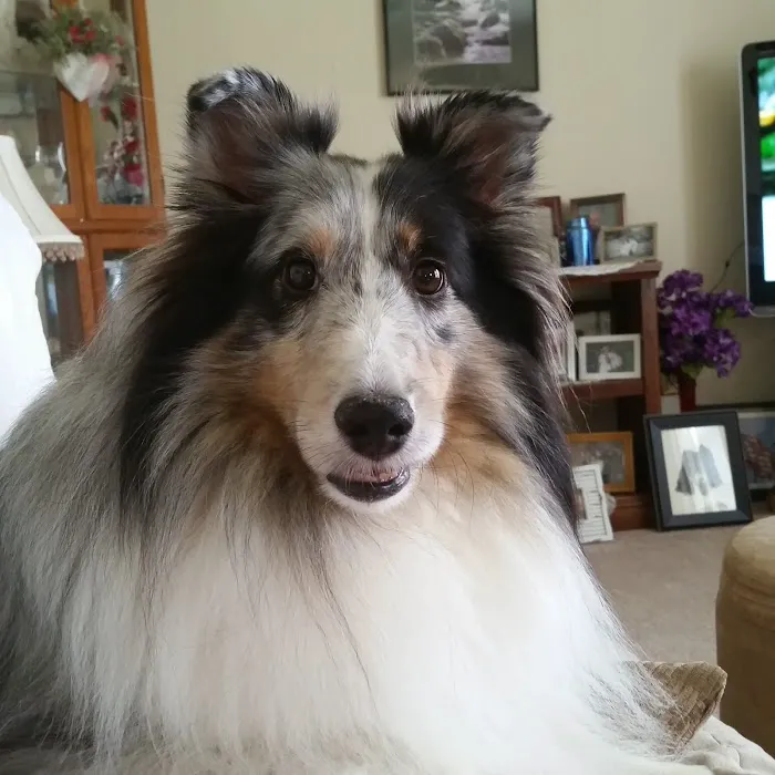 Marshall Veterinary Clinic Picture 4