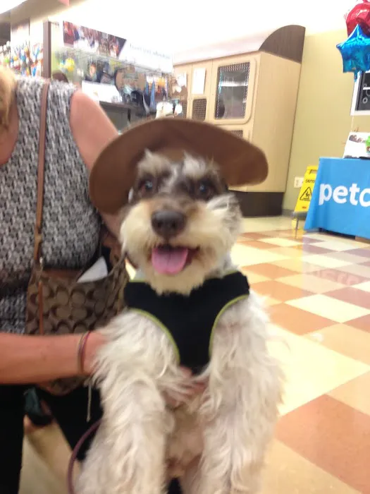 Marshall Veterinary Clinic Picture 5