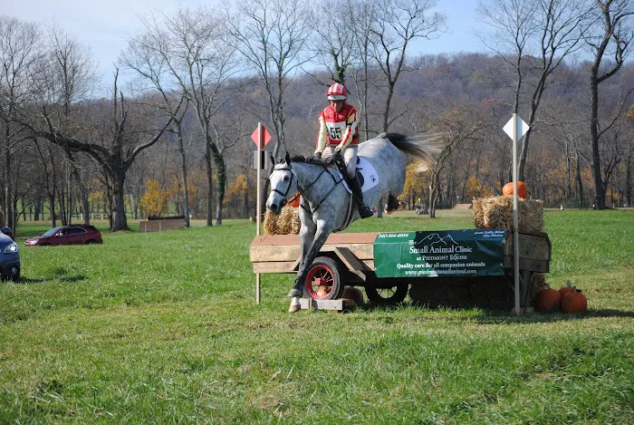 Piedmont Equine Practice Picture 3