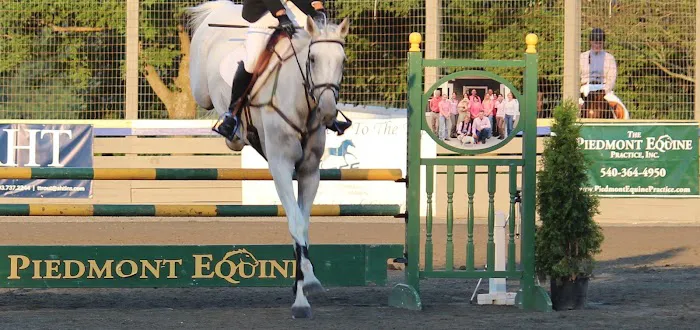 Piedmont Equine Practice Picture 7