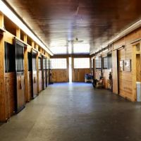Piedmont Equine Practice ico
