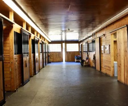 Piedmont Equine Practice
