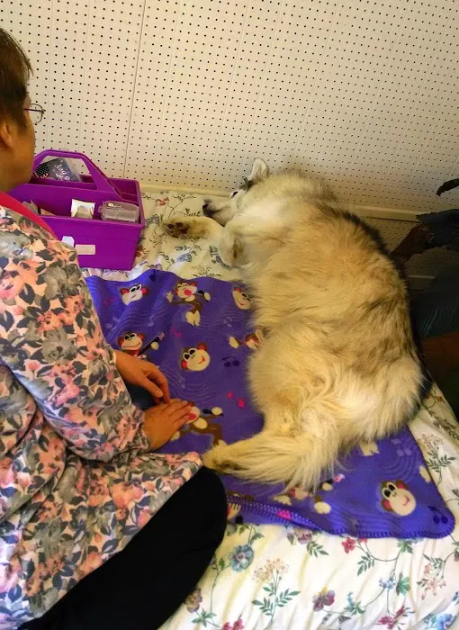 Paws For Holistic Pet Care Picture 5