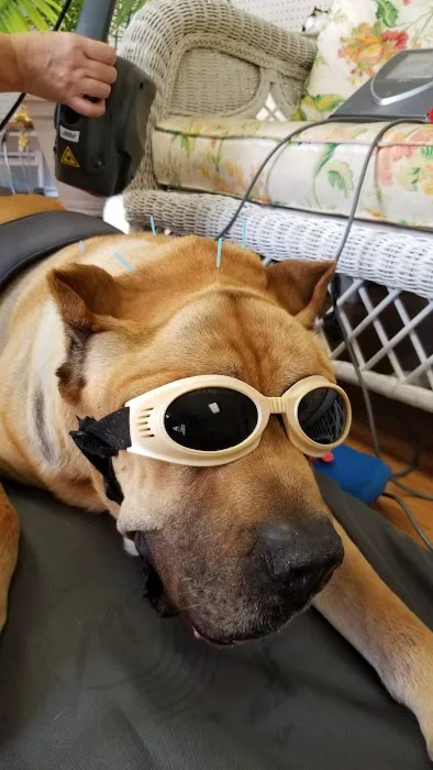 Paws For Holistic Pet Care Picture 2