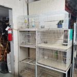 Oxnard Seed & Feed