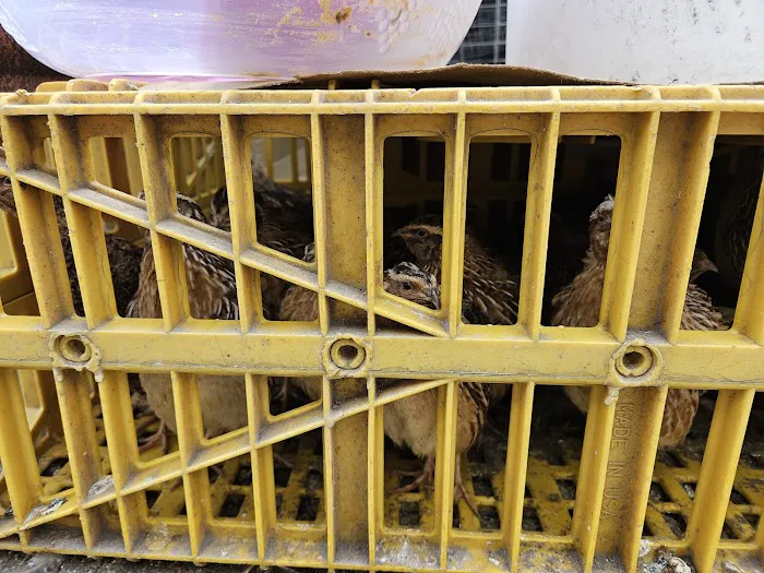 Oxnard Seed & Feed Picture 3