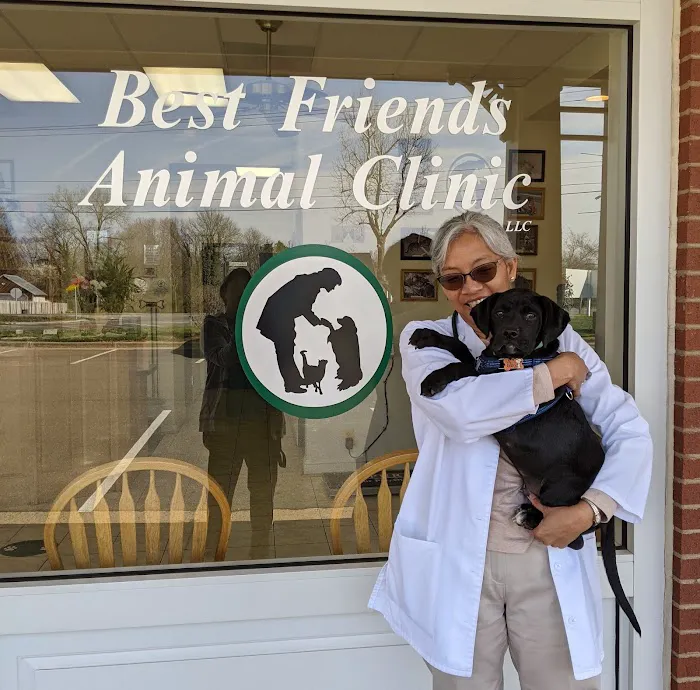 Best Friends Animal Clinic LLC Picture 1