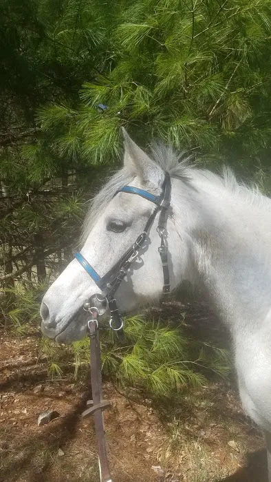 Hartland Equine Veterinary Services, PLLC Picture 1