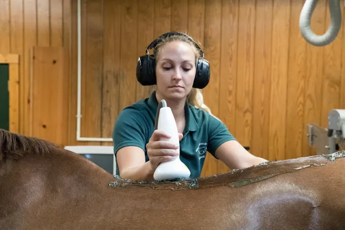 Virginia Equine Imaging Picture 1