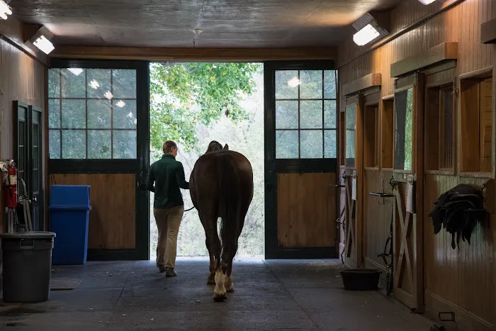 Virginia Equine Imaging Picture 9