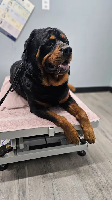 Agape Vet Clinic Picture 1