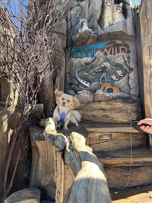 Cool Pet Boutique Picture 2