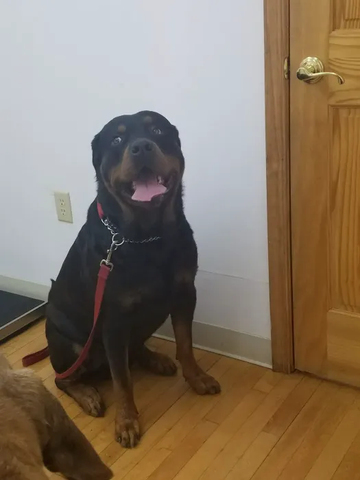 Canal Town Veterinary Clinic Picture 3