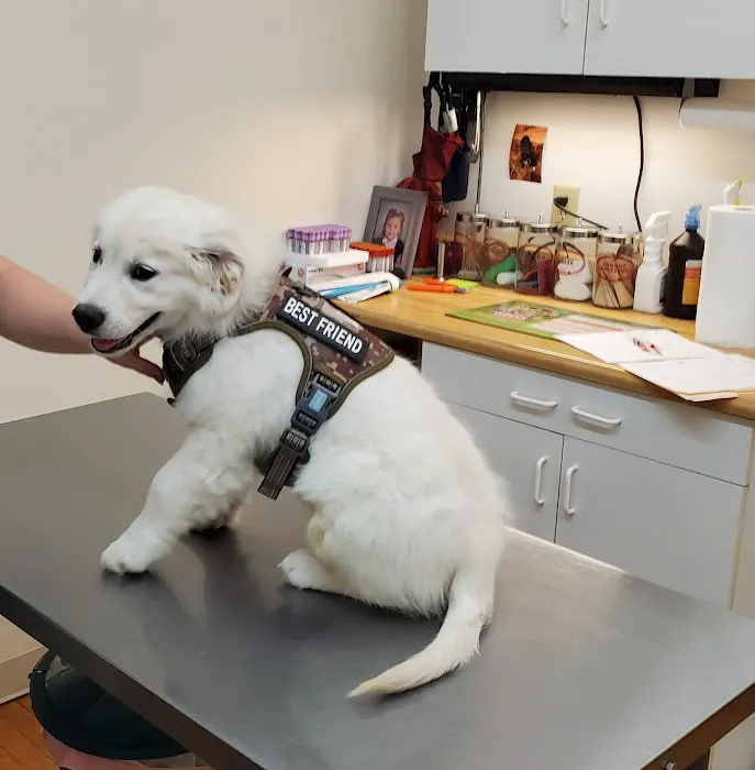 Canal Town Veterinary Clinic Picture 7