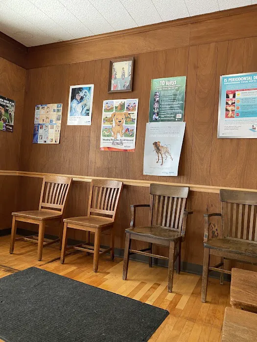 Canal Town Veterinary Clinic Picture 5