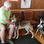 Canal Town Veterinary Clinic