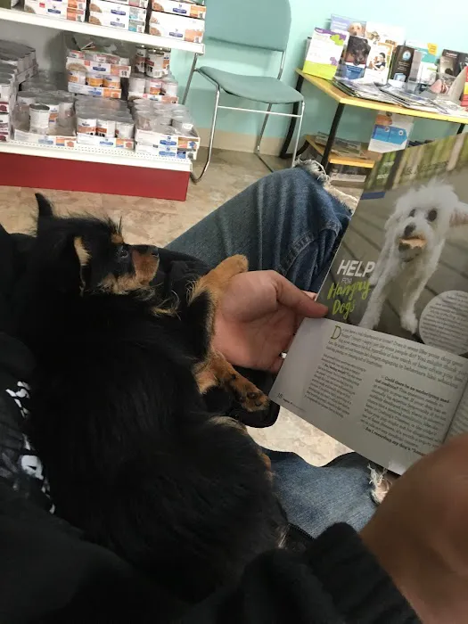 Colony Animal Hospital Picture 3