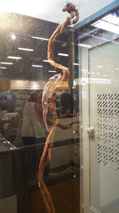 Petco Picture 6