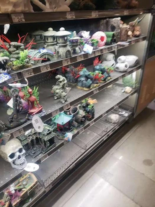 Petco Picture 8