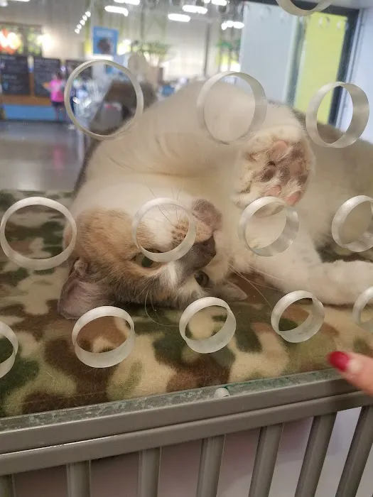 Petco Picture 7