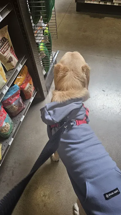 Petco Picture 1