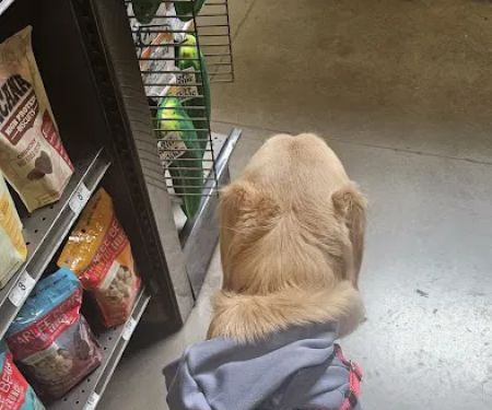 Petco